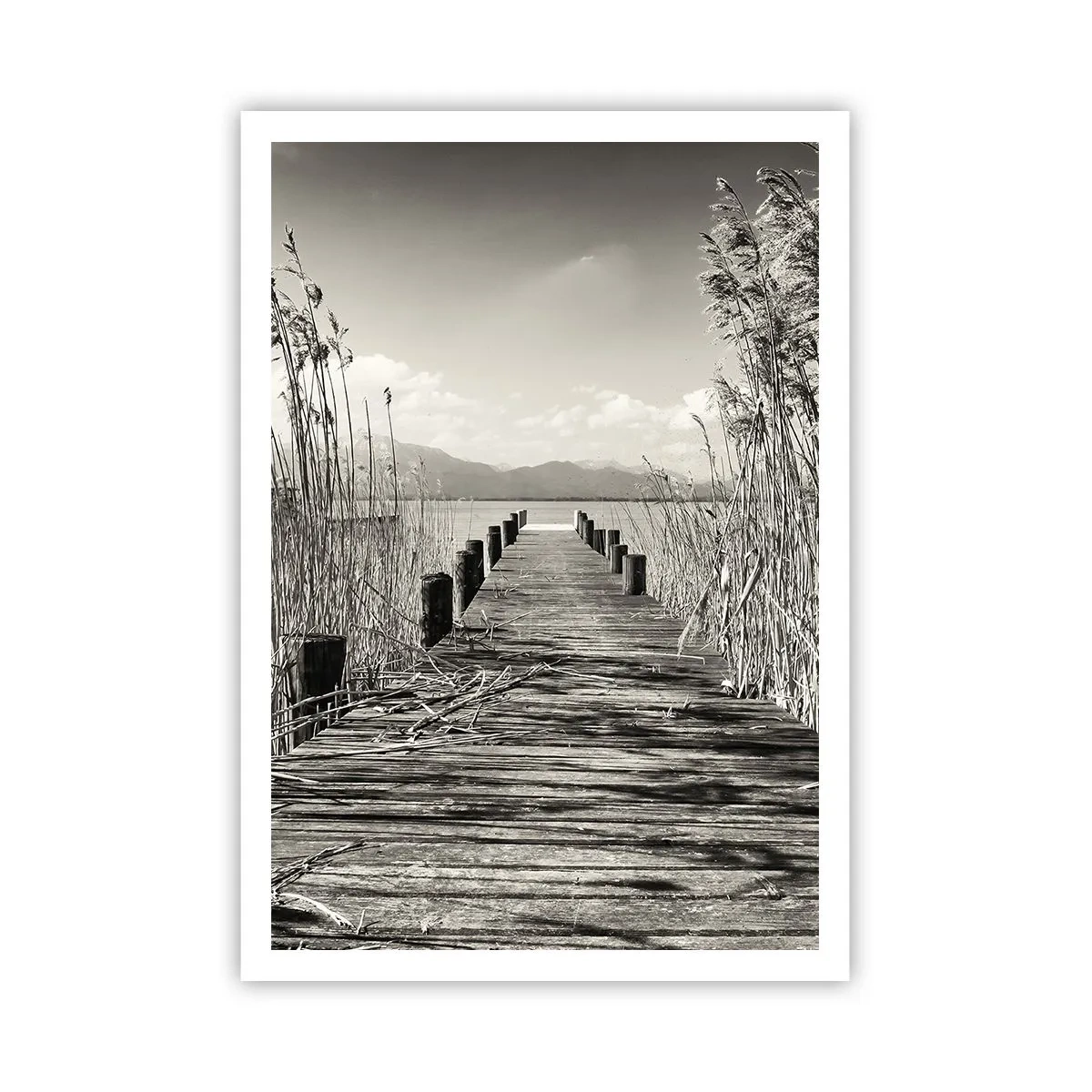 Poster - În intimitatea ierburilor - 70x100 cm