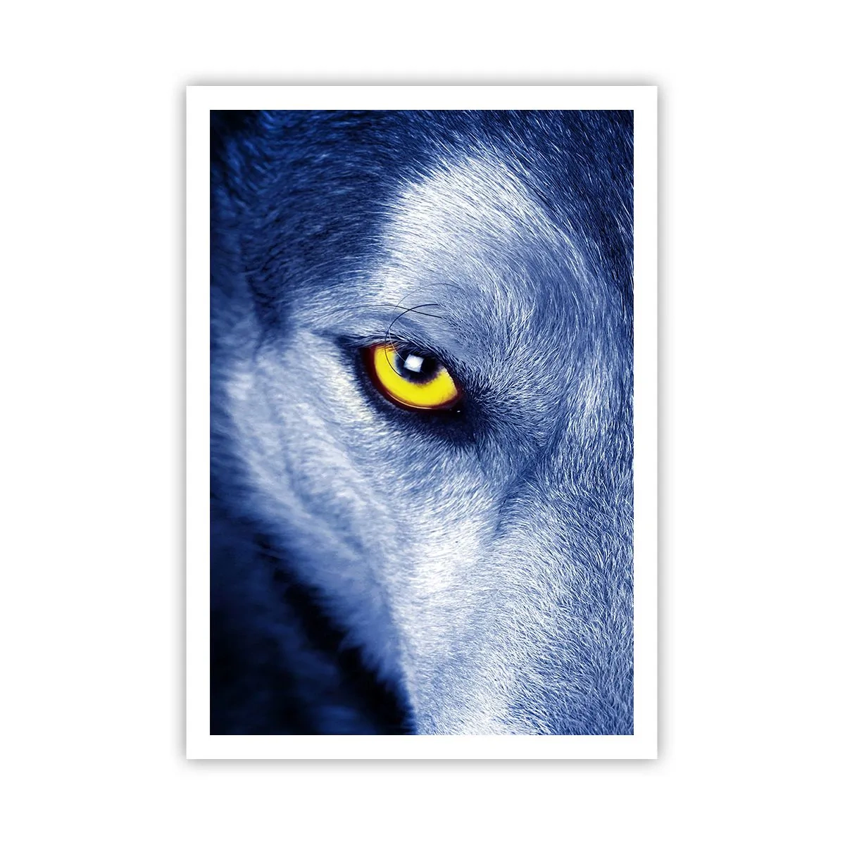 Poster - O privire hipnotizantă - 70x100 cm