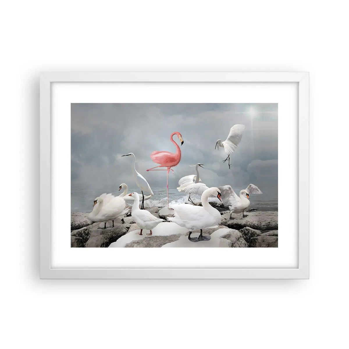 Poster în ramă albă - De unde am venit? - 40x30 cm