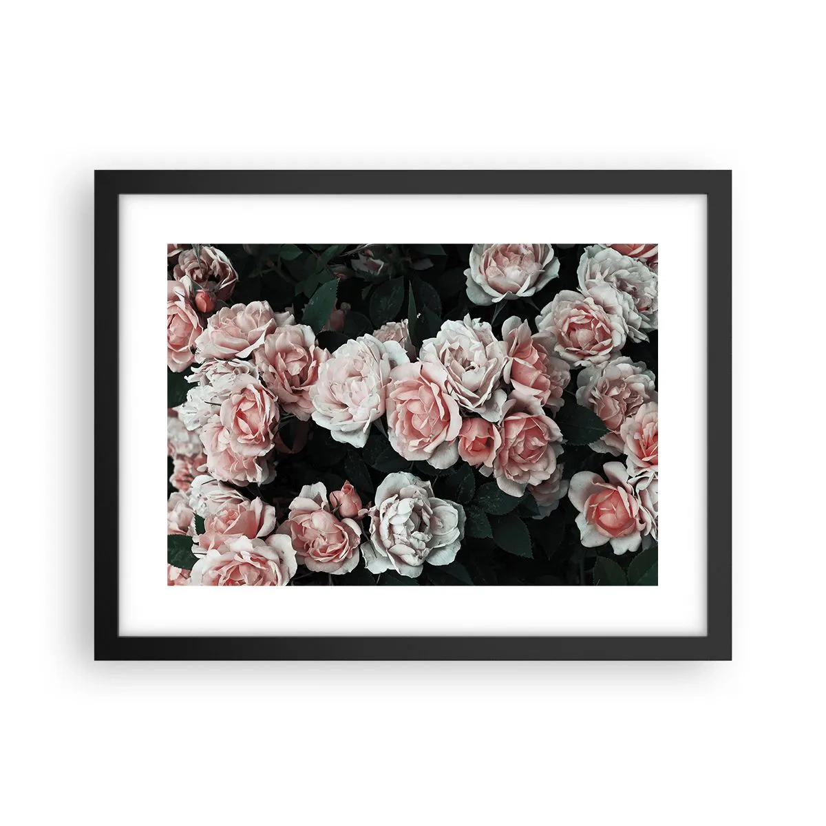 Poster în ramă neagră - Ansamble de trandafiri - 40x30 cm