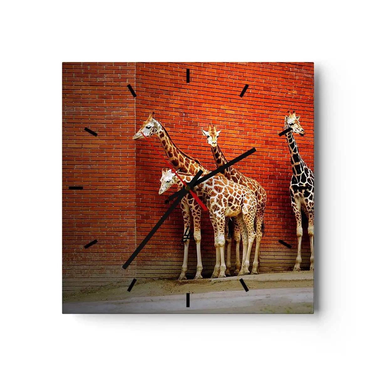 Ceas de perete - Ceas pe sticlă - Vezi vreun salcâm? - 40x40 cm