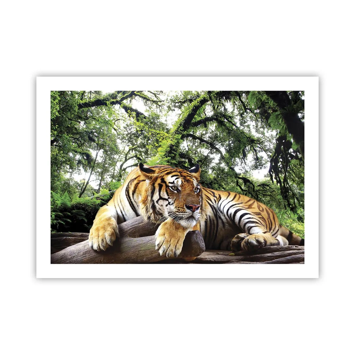 Poster - Cu respect - 70x50 cm