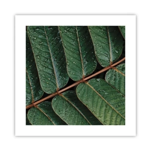 Poster - Într-un ritm verde - 40x40 cm