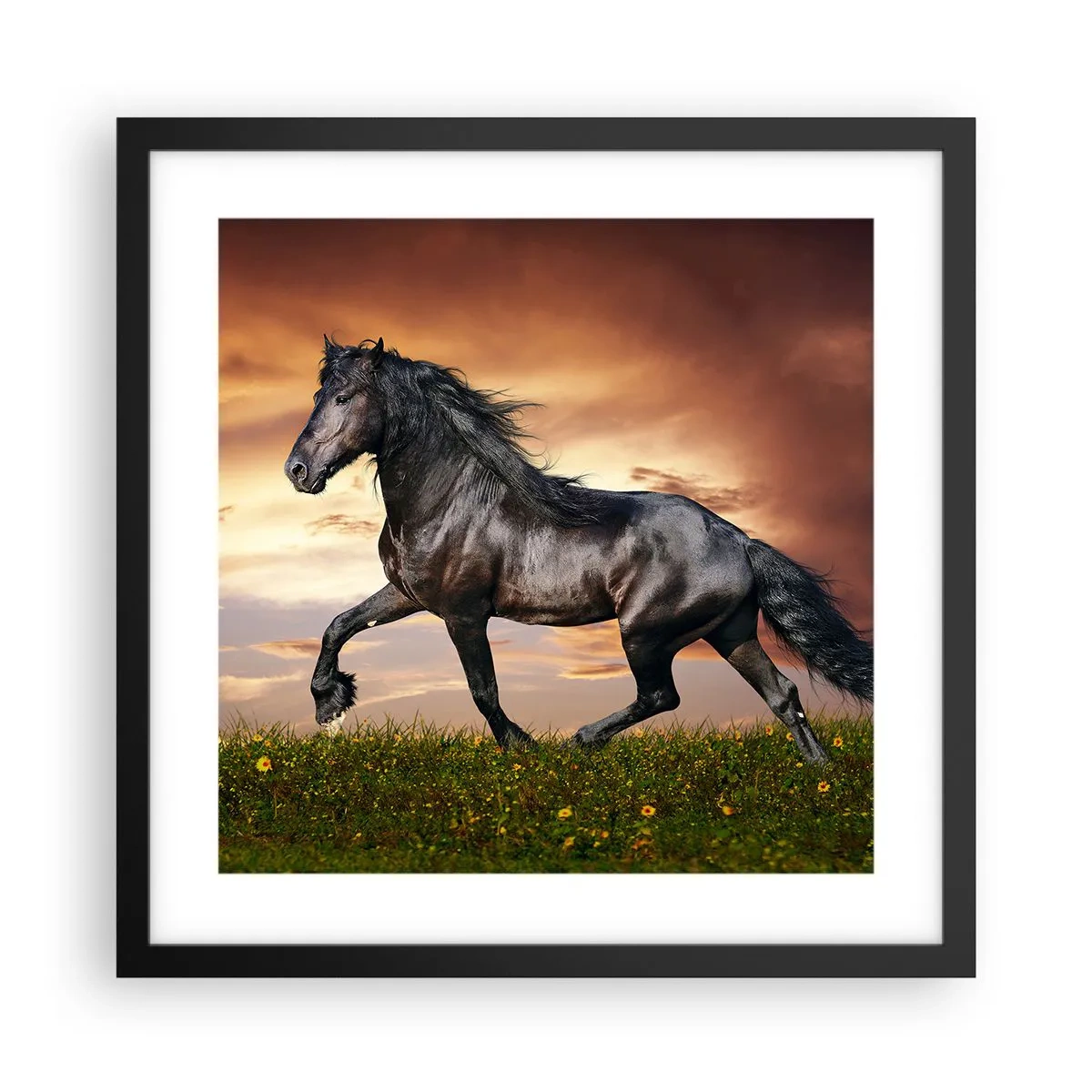 Poster în ramă neagră - Prințul negru - 40x40 cm