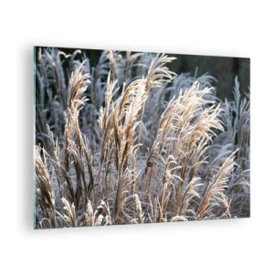 Tablou pe sticlă - Ierburi înghețate în soarele de iarnă - 70x50cm - Împodobite cu brumă - Decorațiune modernă pentru perete pentru living și dormitor ARTTOR