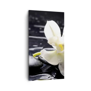 Tablou pe pânză - Studiu în alb și negru - 45x80 cm