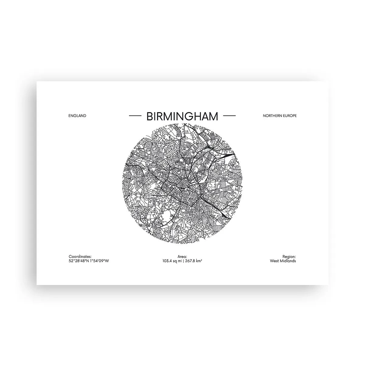 Poster - Anatomia Birmingham - 100x70 cm