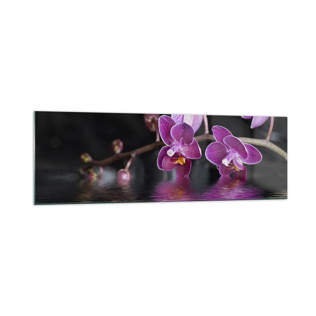 Tablou pe sticlă - Reflecție de frumusețe în liliac - 160x50 cm