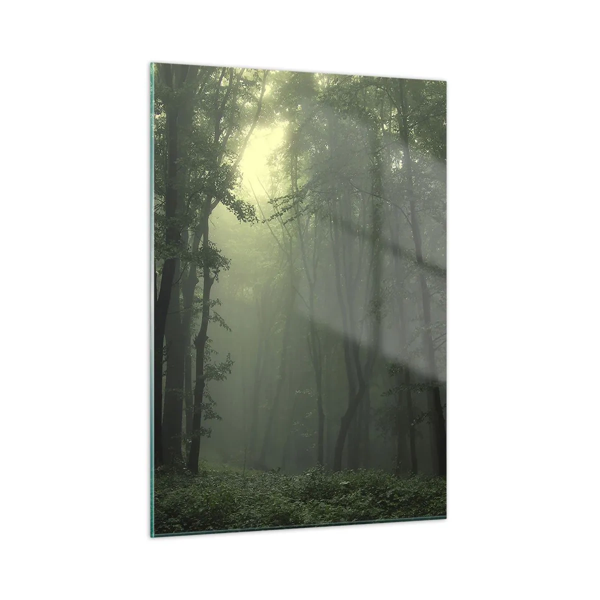 Tablou pe sticlă - Înainte să se trezească - 50x70 cm