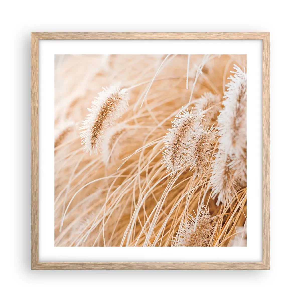 Poster în ramă de stejar deschis - Foșnetul auriu al ierburilor - 50x50 cm
