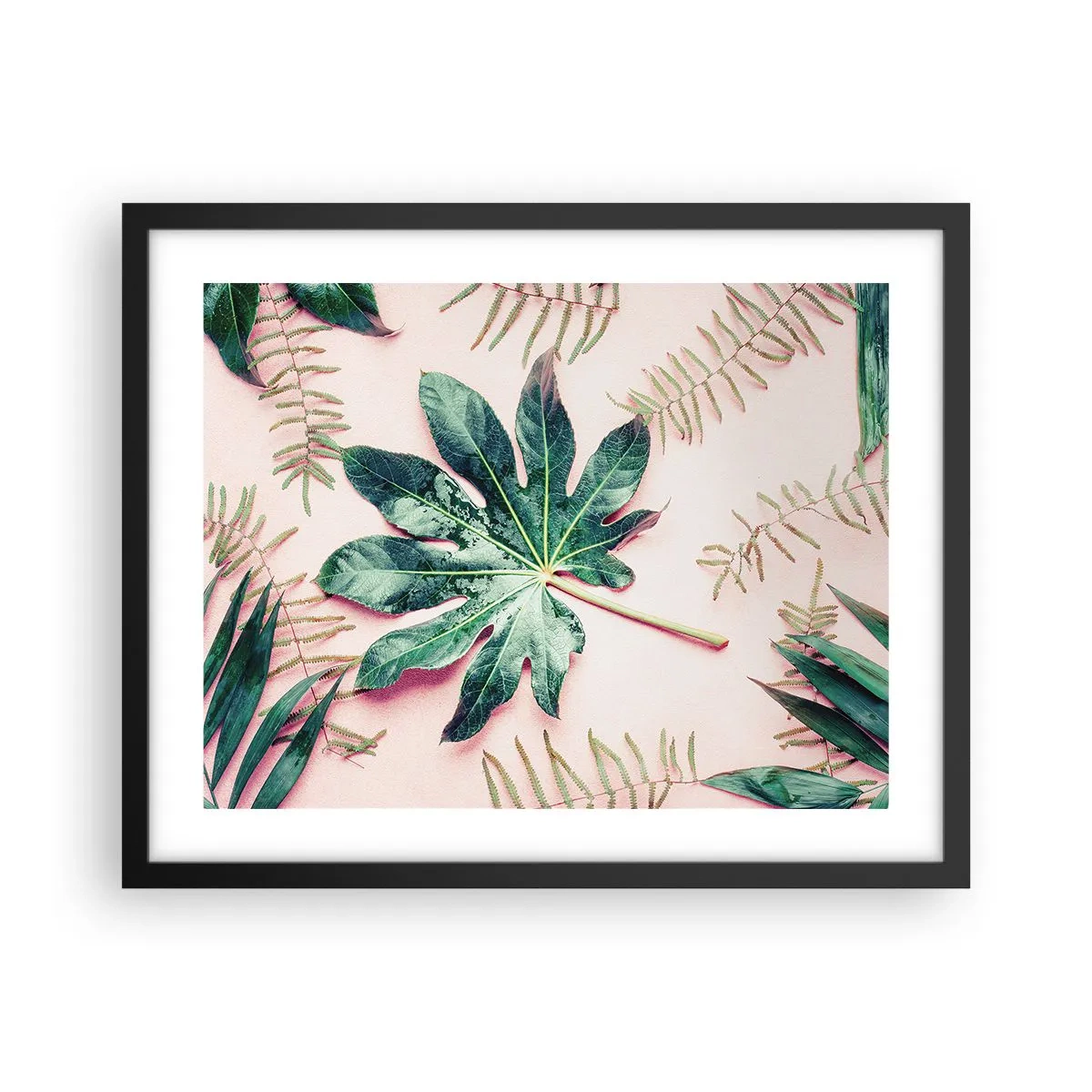 Poster în ramă neagră - Studiu de verdeață pe un fundal roz - 50x40 cm