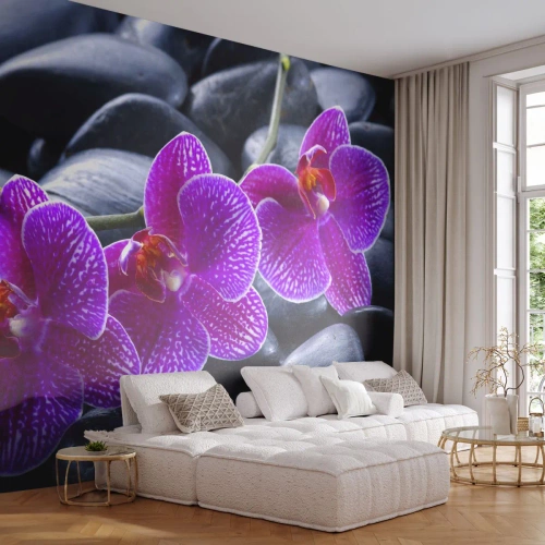 Tapet Premium Sand - Pietrele s-au luminat de încântare - Flori, Pietre, Orhidee - 100x70 cm