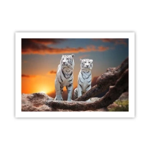 Poster - La fel ca în Narnia - 70x50 cm