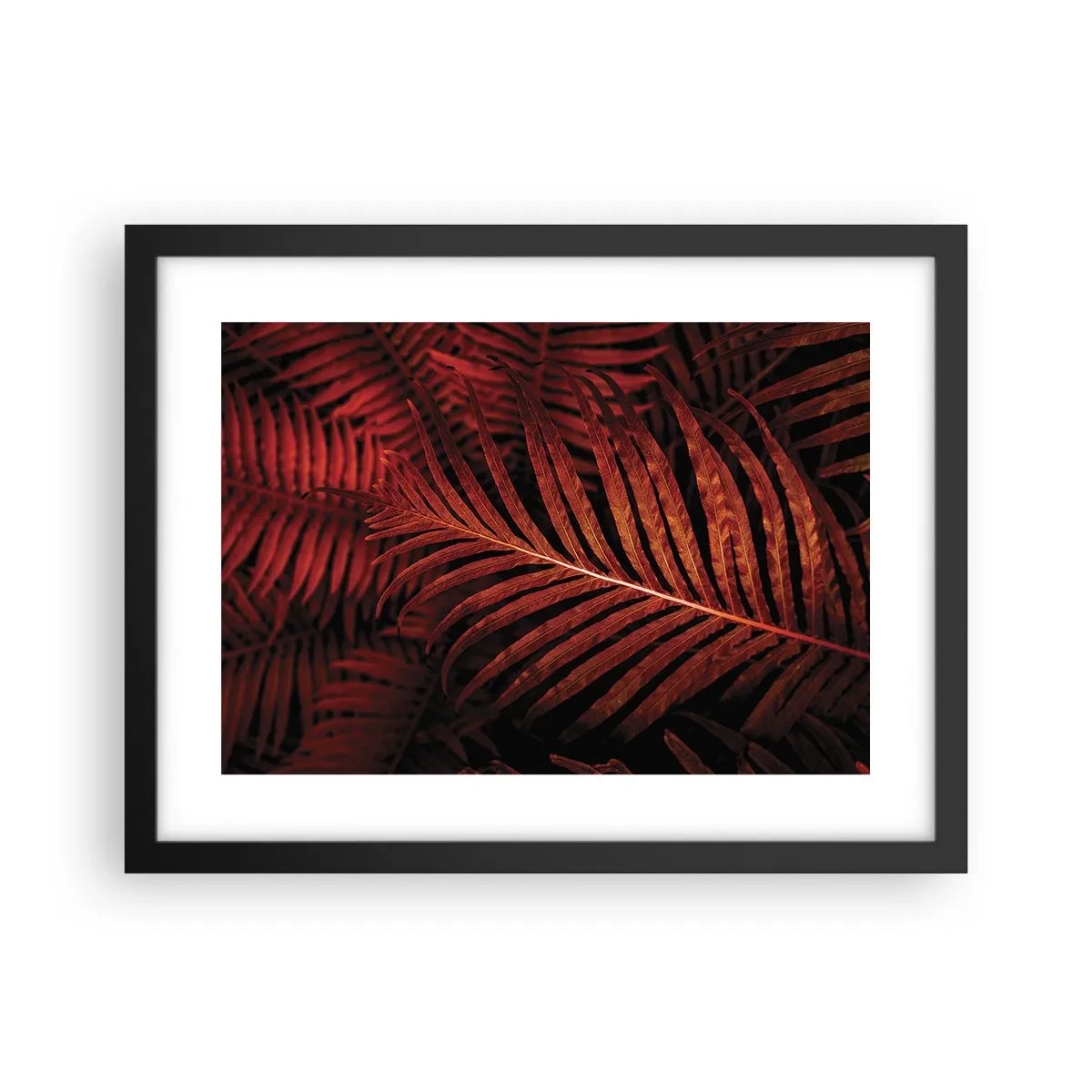 Poster în ramă neagră - Ardoarea vieții - 40x30 cm
