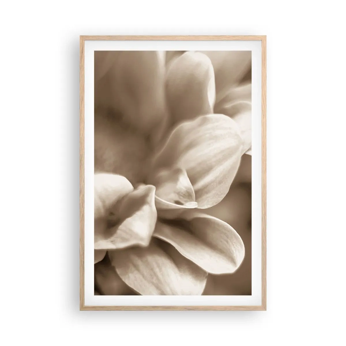 Poster în ramă de stejar deschis - Blânde ca un zâmbet - 61x91 cm