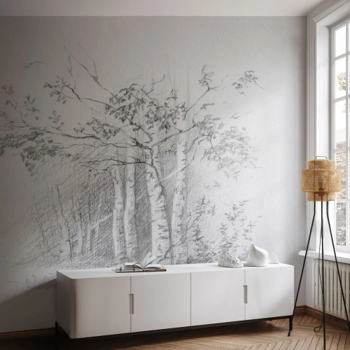 Tapet Premium Sand - Lumina pădurii de mesteceni - pădure, mesteacăn, Copaci - 300x210 cm