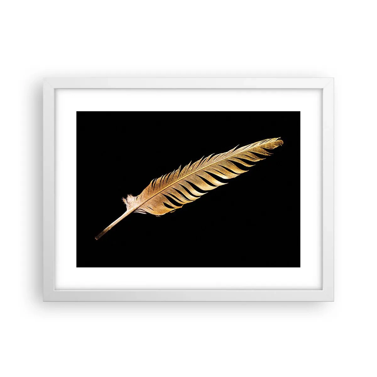 Poster în ramă albă - Pană aurie perfectă - 40x30 cm