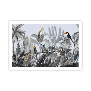 Poster - O fabulă africană - 91x61 cm