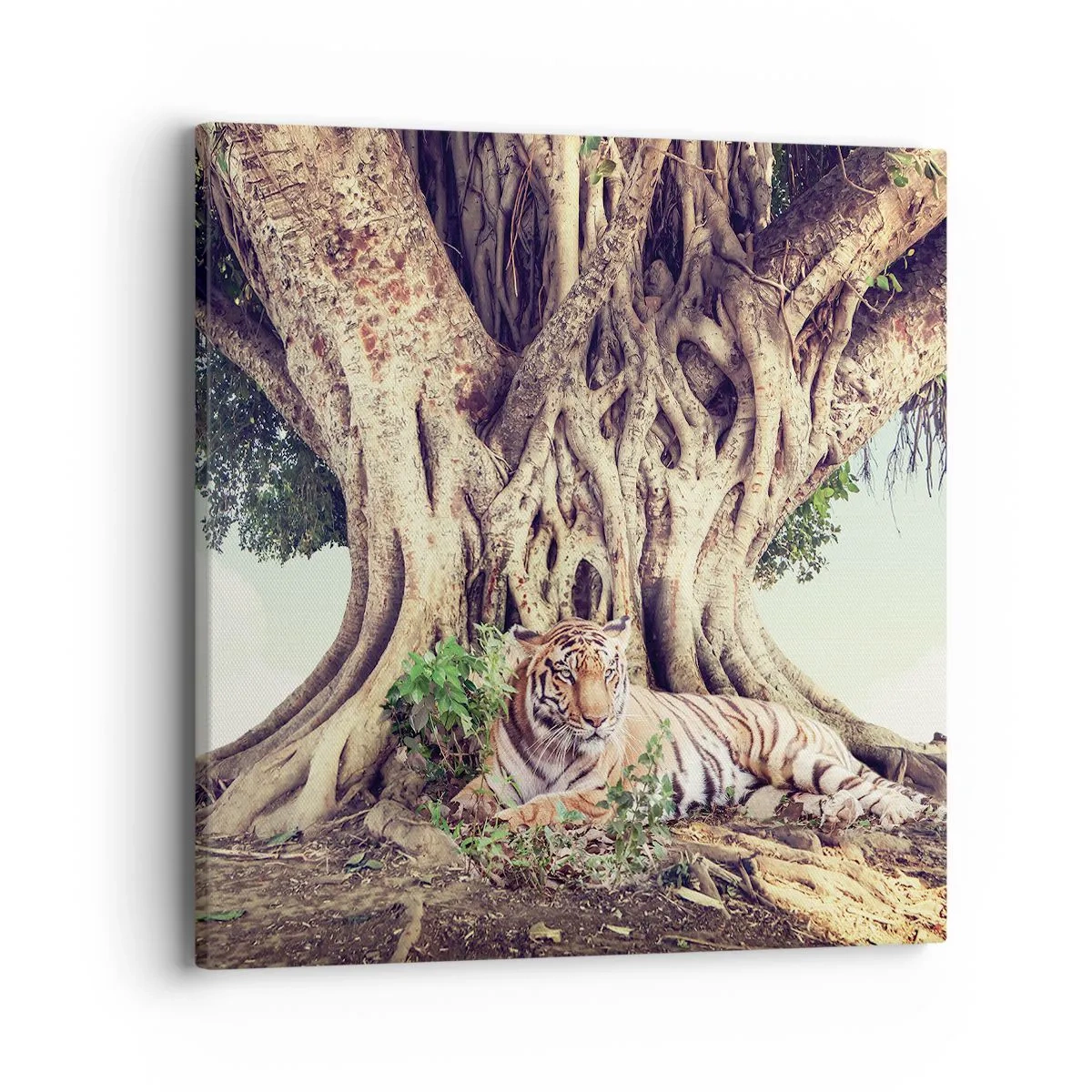 Tablou pe pânză - O perspectivă din Geneză - 40x40 cm