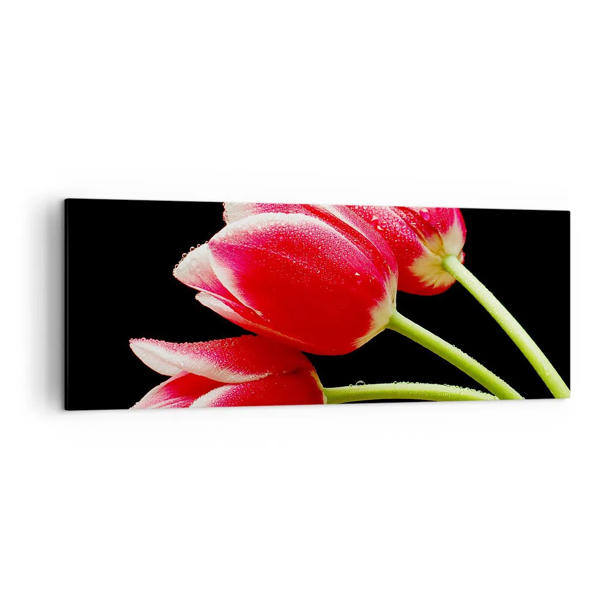 Tablou pe pânză - Promisiunea unei iubiri pure - 140x50 cm