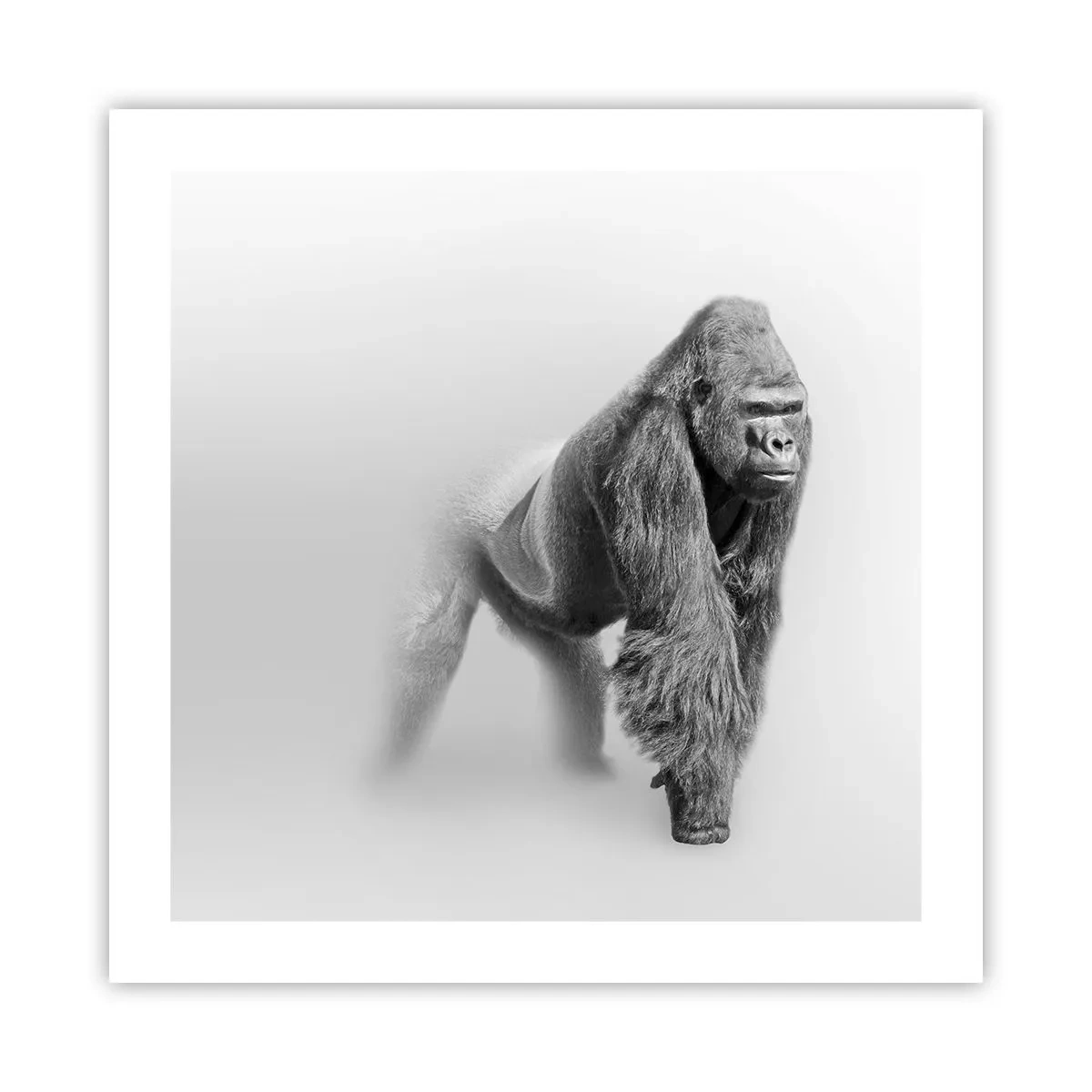 Poster - Încrezător în puterea lui - 50x50 cm