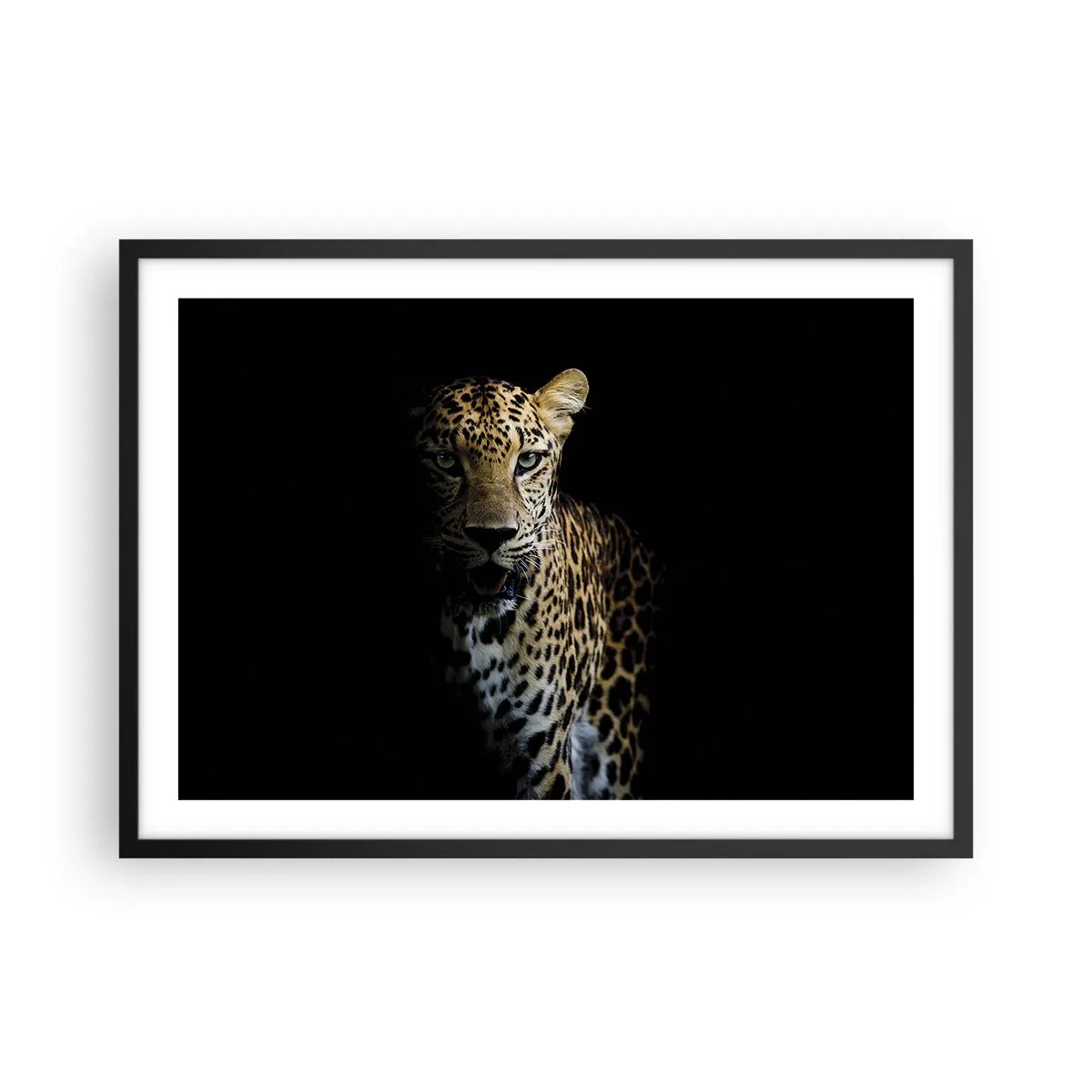 Poster în ramă neagră - Frumusețe întunecată - 70x50 cm