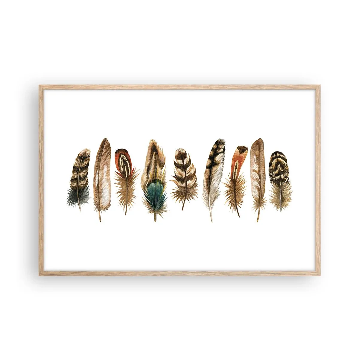 Poster în ramă de stejar deschis - Variație cu pene - 91x61 cm