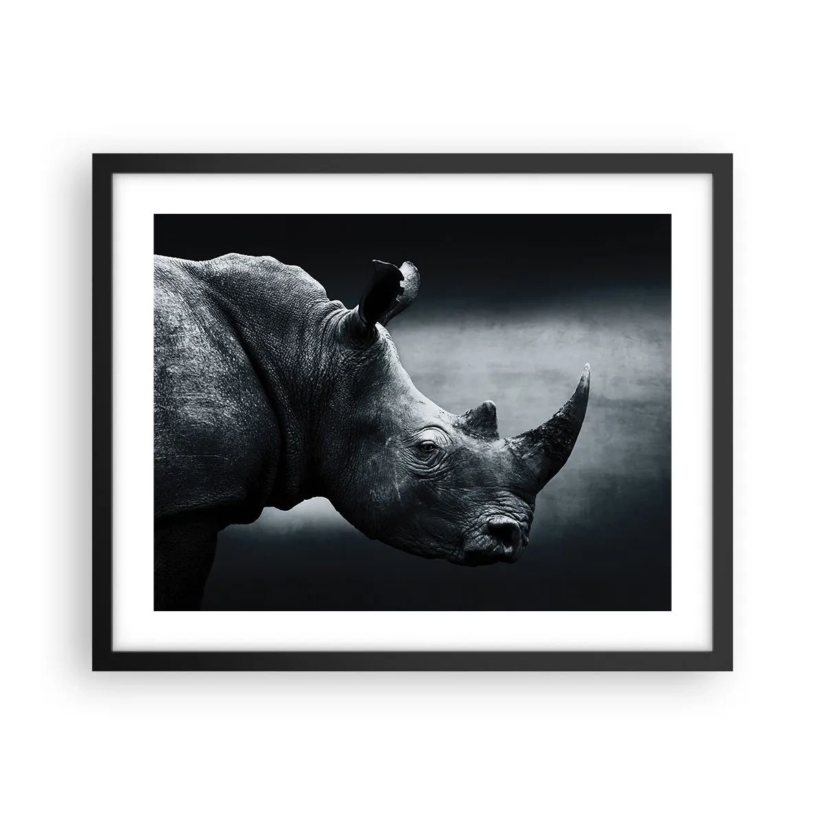 Poster în ramă neagră - Profil drept - 50x40 cm