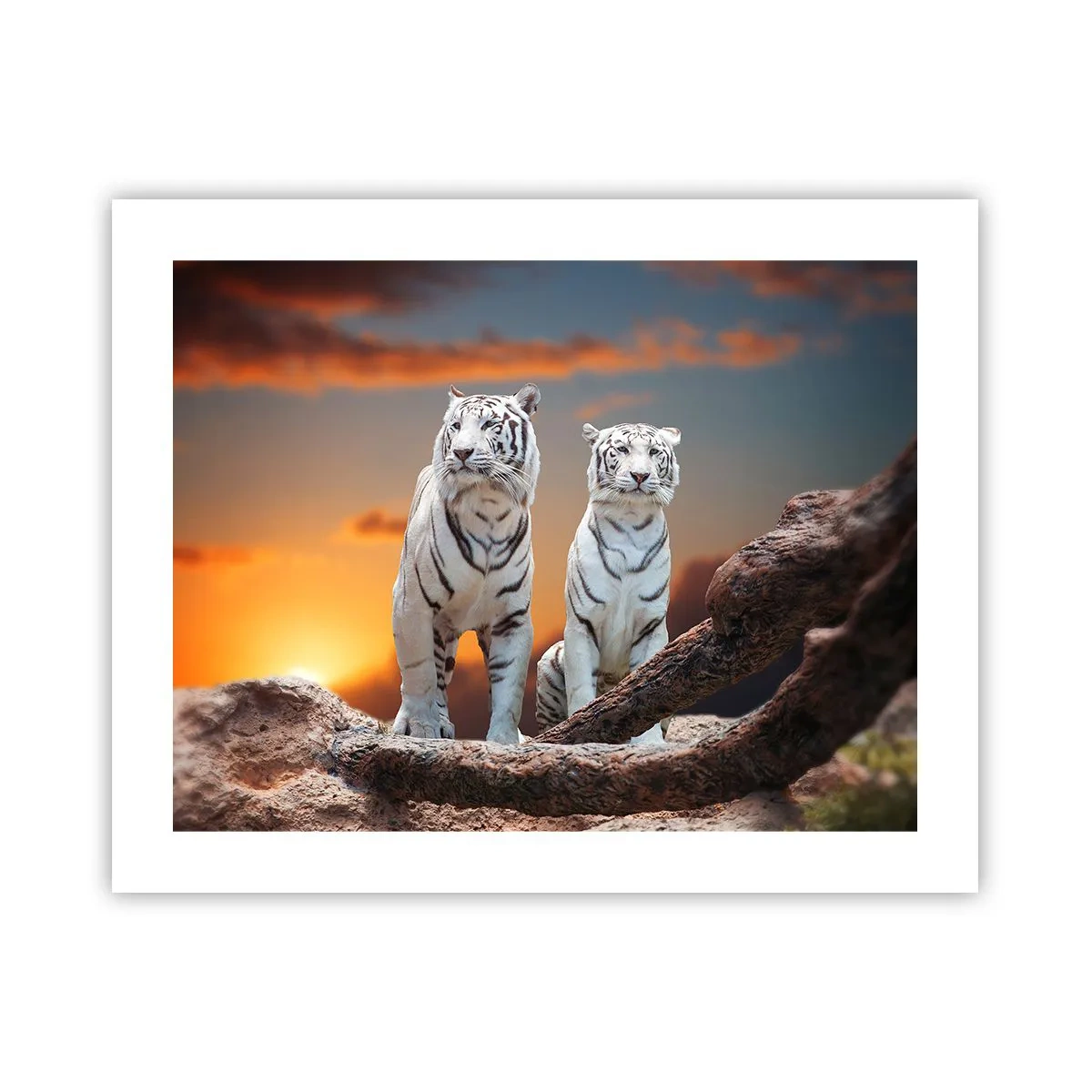 Poster - La fel ca în Narnia - 50x40 cm