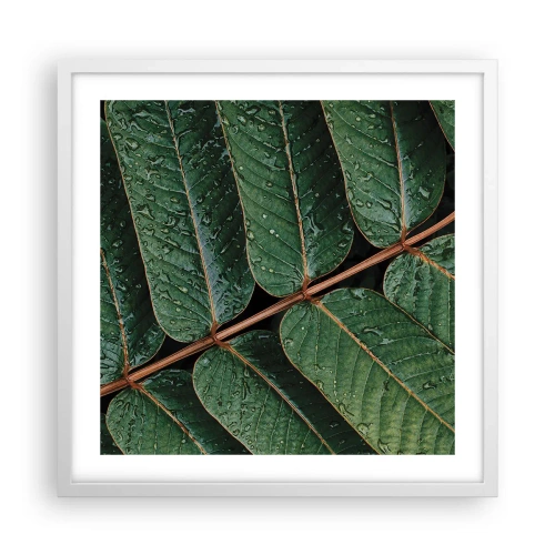 Poster în ramă albă - Într-un ritm verde - 50x50 cm