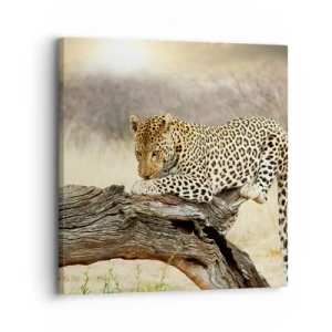 Tablou pe pânză - Mă duc pe drumul meu - 30x30 cm