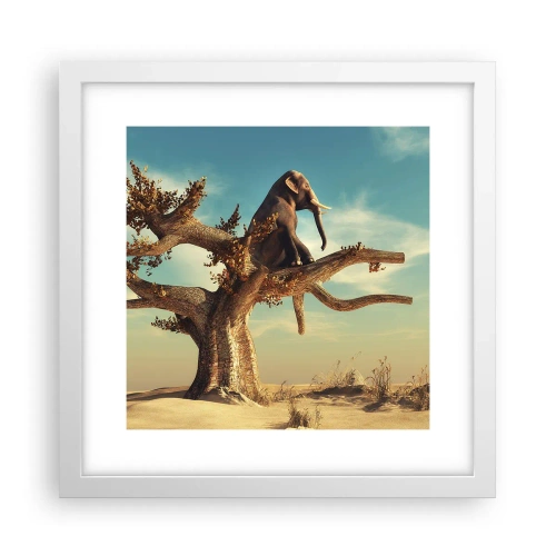 Poster în ramă albă - Un nou punct de vedere - 30x30 cm