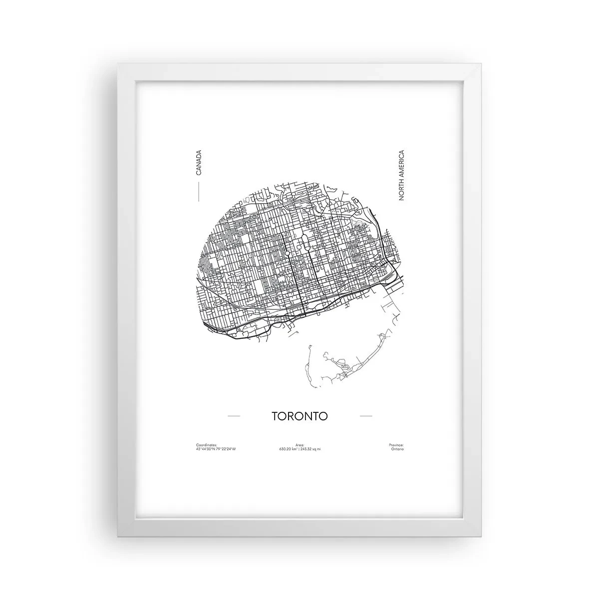 Poster în ramă albă - Anatomia Toronto - 30x40 cm