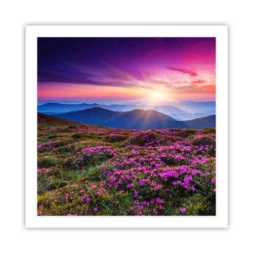 Poster - Ierburile proaspete miroseau puternic - 60x60 cm