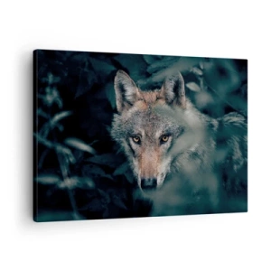 Tablou pe pânză Canvas - Un lup în mediul său natural, privind din adâncul pădurii. - 70x50cm - Vânător - Decorațiune modernă pentru perete pentru living și dormitor ARTTOR