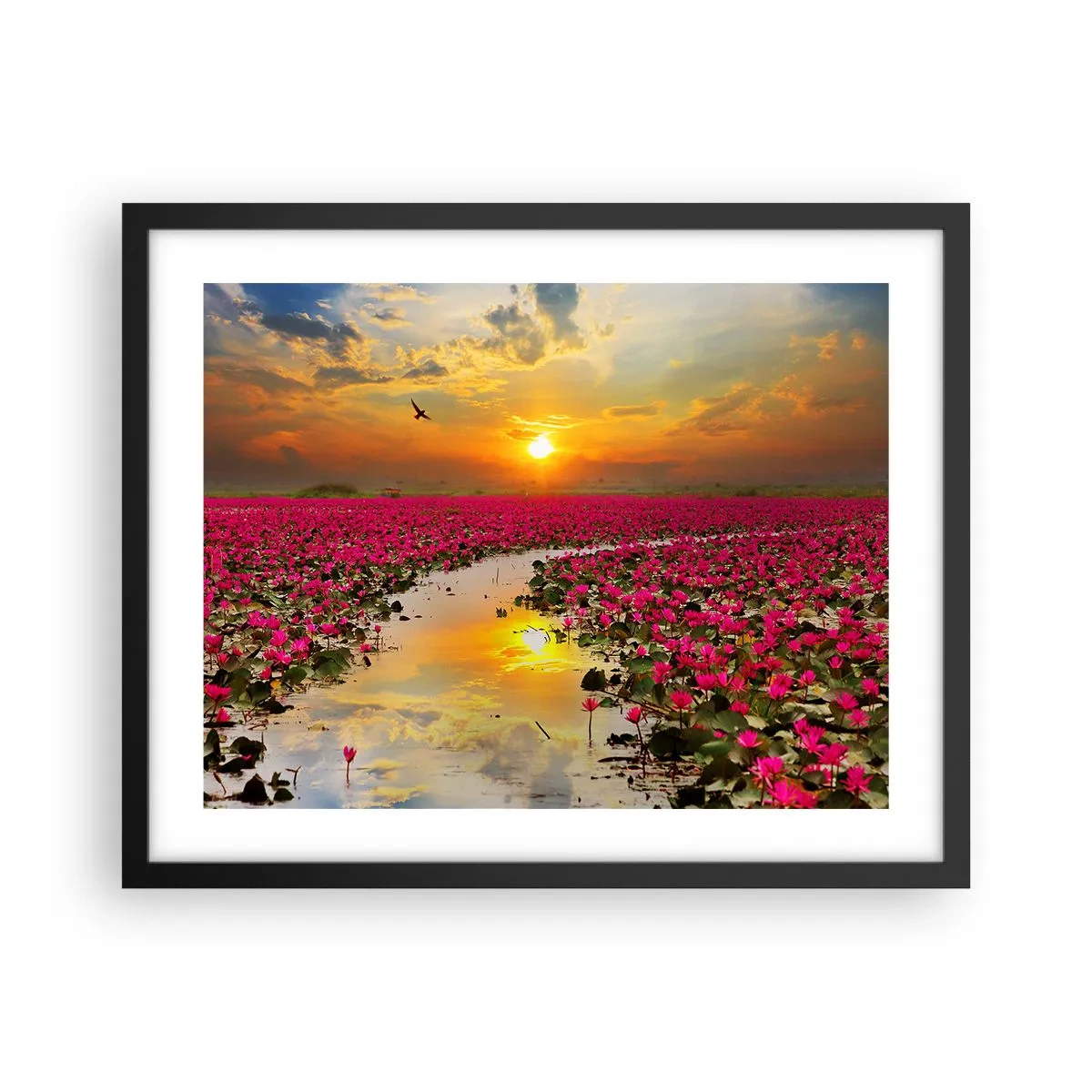 Poster în ramă neagră - Viața secretă a lacului - 50x40 cm