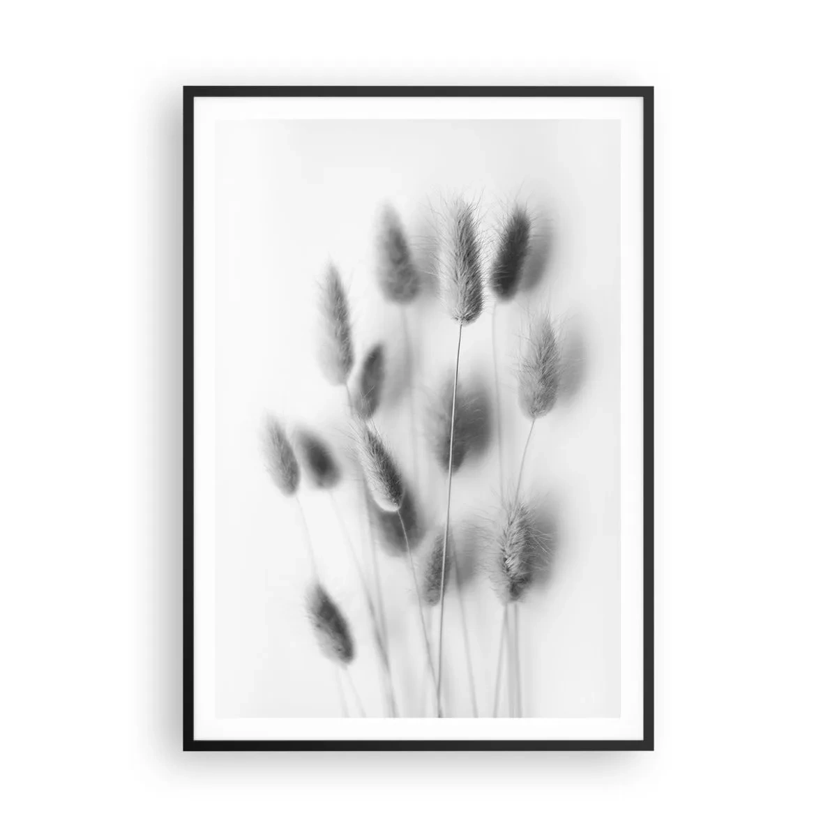 Poster în ramă neagră - Pufoșenia ierbii - 70x100 cm