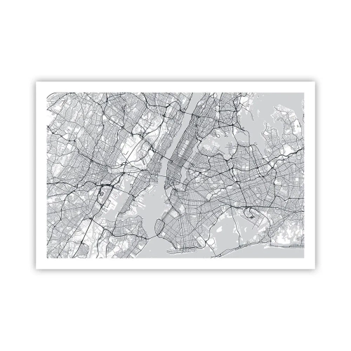 Poster - Anatomia unei metropole - 91x61 cm
