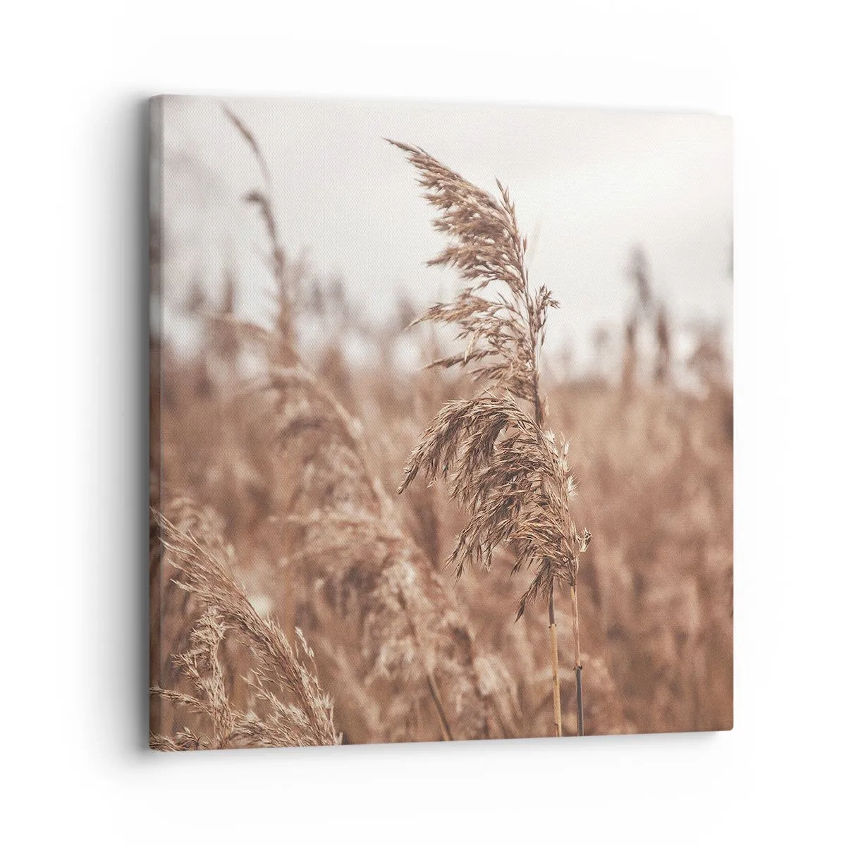 Tablou pe pânză - Toamna pe câmpuri - 30x30 cm