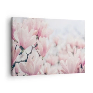Tablou pe pânză Canvas - Flori subtile de magnolie în nuanțe delicate de roz - 70x50cm - Idealul de subtilitate - Decorațiune modernă pentru perete pentru living și dormitor ARTTOR