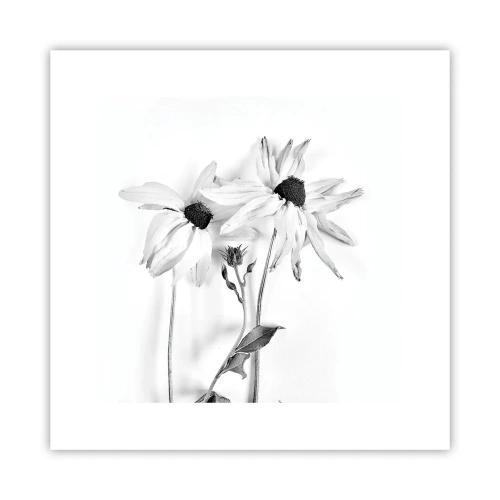 Poster - Nimeni nu vrea să fie singur - 30x30 cm