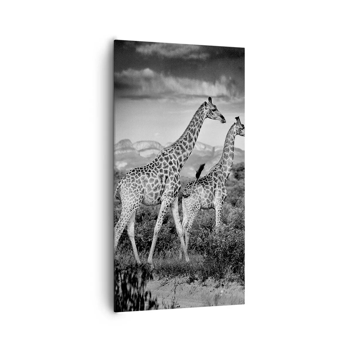 Tablou pe pânză - Clasele superioare din Africa - 65x120 cm