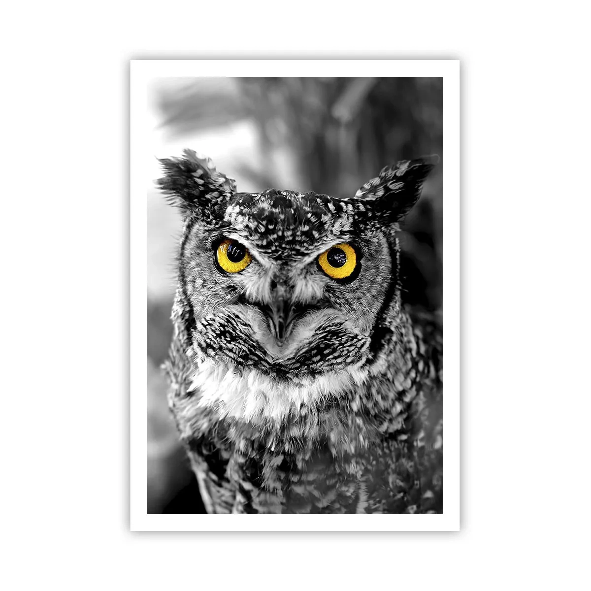 Poster - Nimic nu poate fi ascuns - 70x100 cm