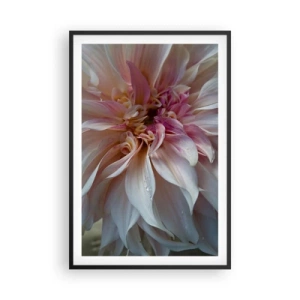 Poster în ramă neagră - Prospețime înfloritoare - 61x91 cm