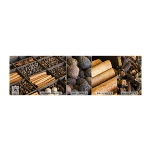 Mostră de Tapet Standard Eco - Tezaur de arome - Condimente, Cafea, Scorţişoară - 100x30 cm