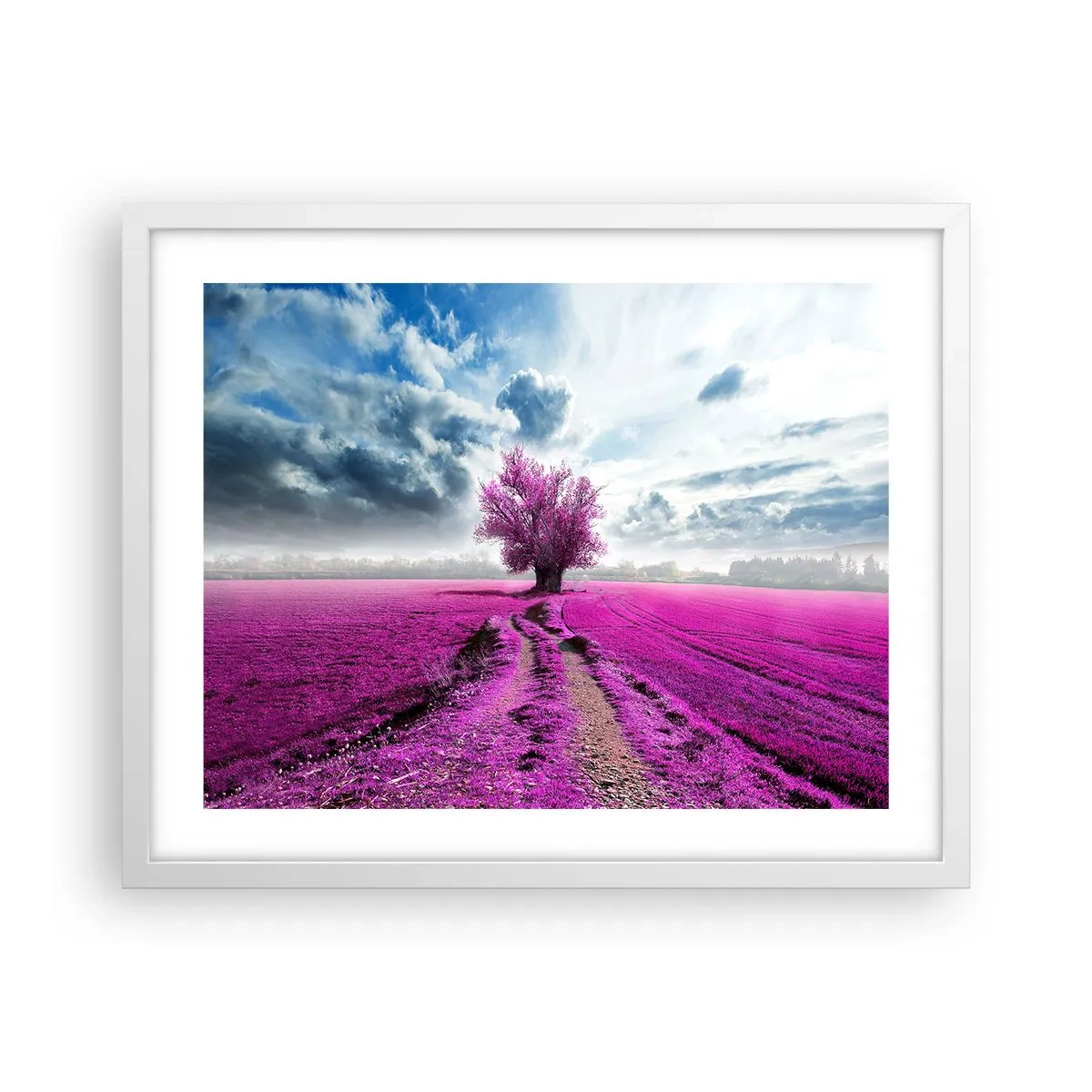 Poster în ramă albă - Câmpul cu iarbă neagră - 50x40 cm