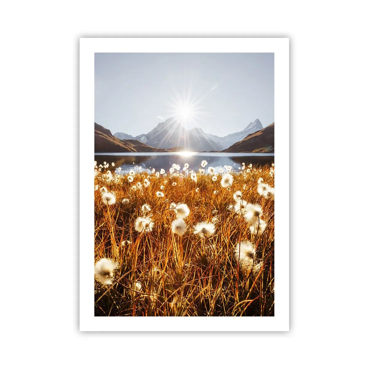 Poster - Duritatea rocilor, moliciunea ierbii - 50x70 cm