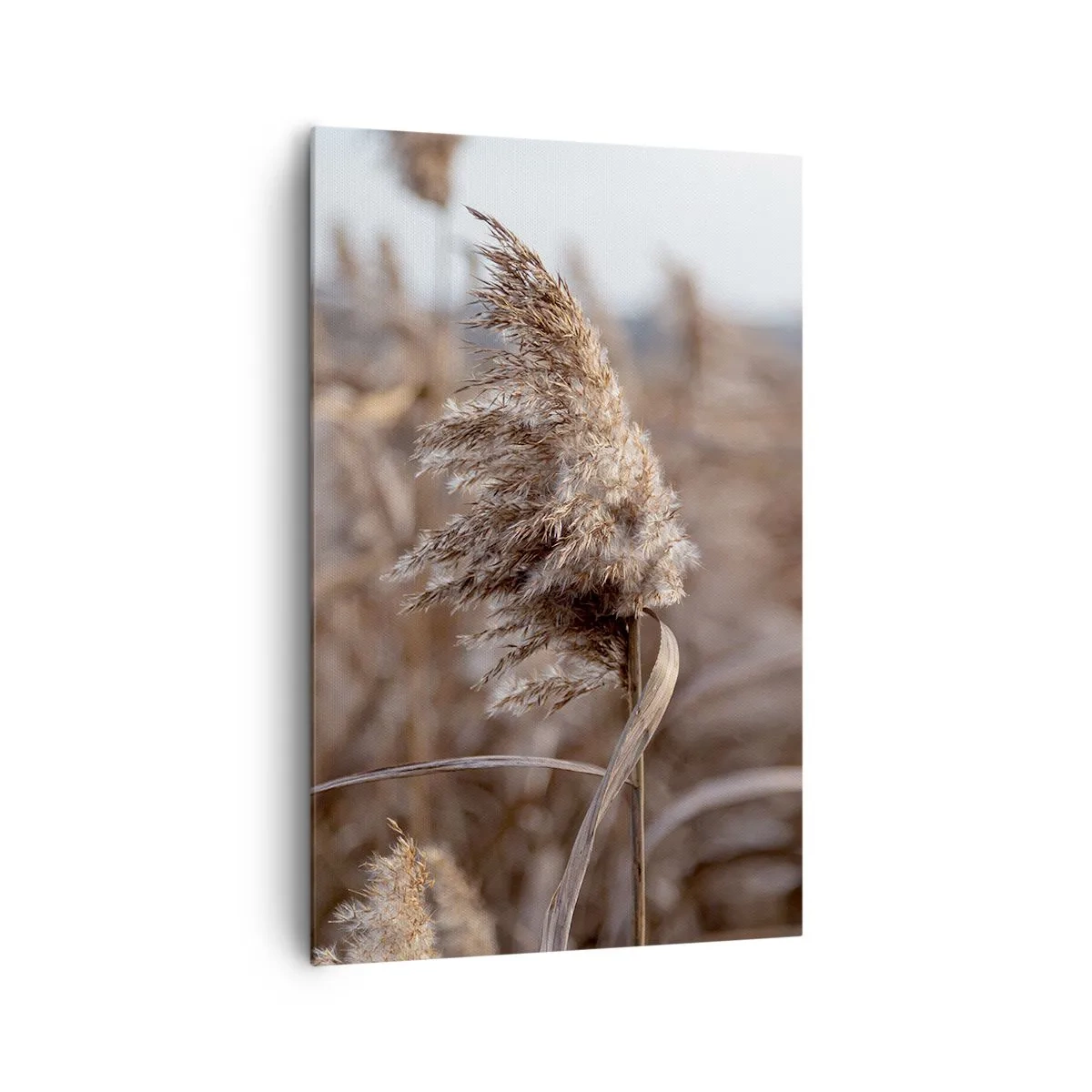 Tablou pe pânză - E timpul să zbori cu vântul - 80x120 cm