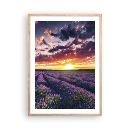 Poster în ramă de stejar deschis - Lumea lavandei - 50x70 cm