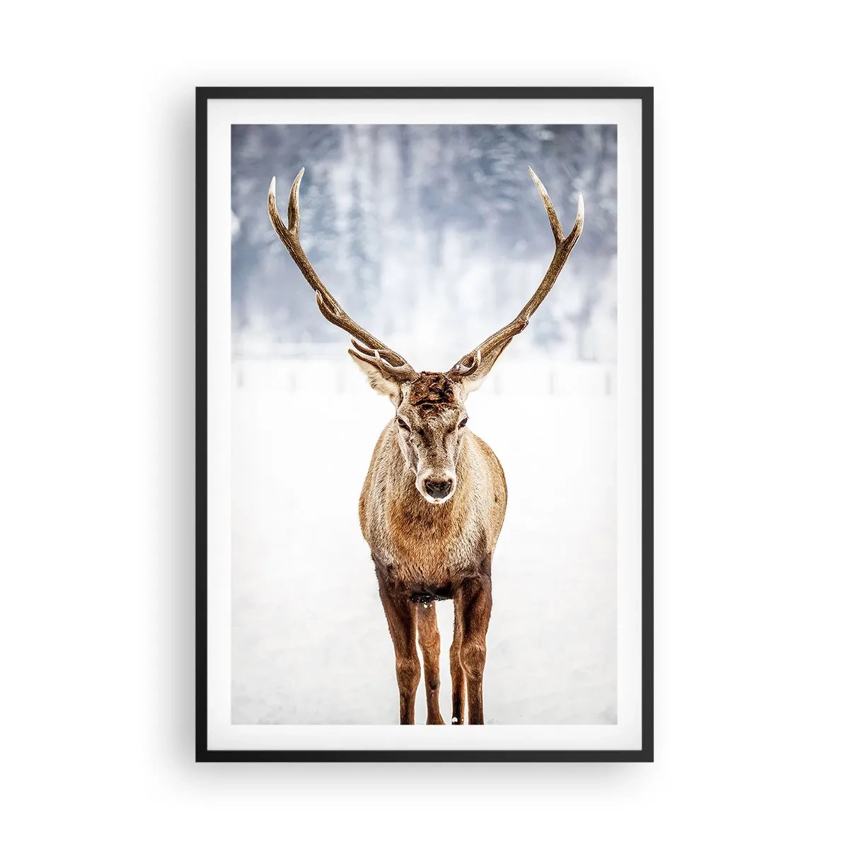 Poster în ramă neagră - Direct din ceața de zăpadă - 61x91 cm